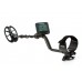 Makro Kruzer Gold